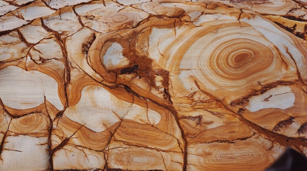 Taken on a #hike 1.5 hours out of my hometown #sydney a couple days ago. The rock formations at Putty Beach in the Bouddi National Park look like weird candies #patterns #australia