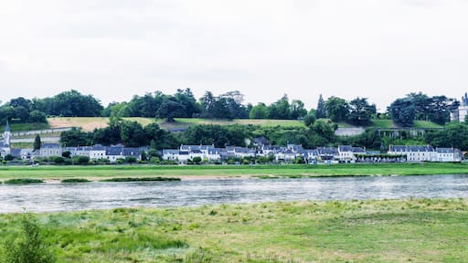 Panoramic view of medieval village over Loire river, France
