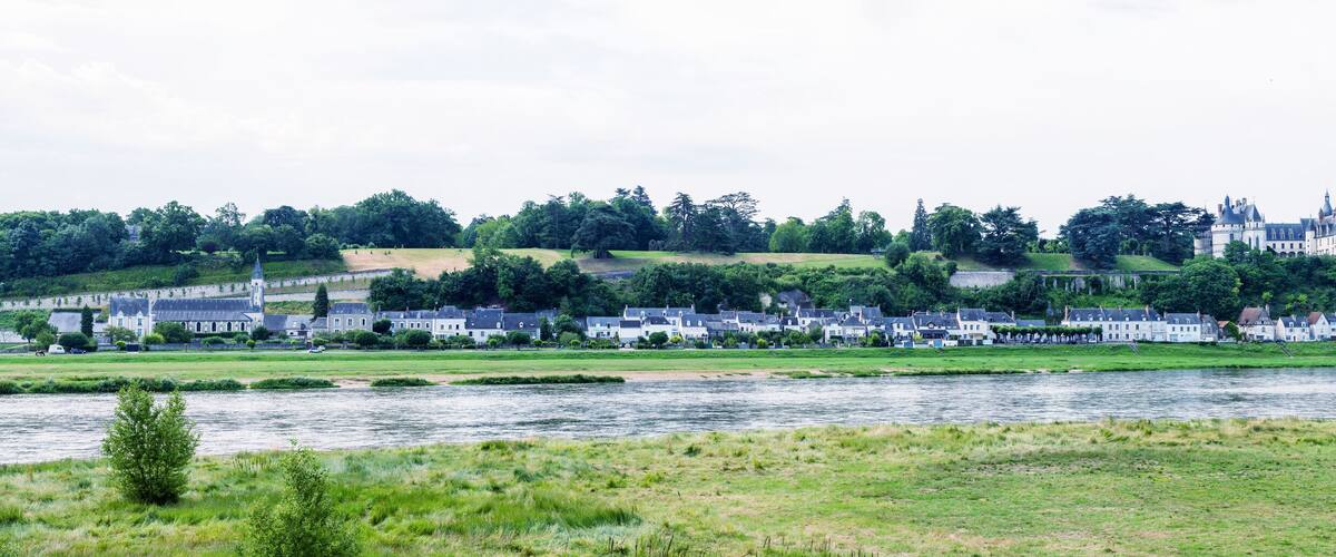 A river with a town and a castle on a hill.