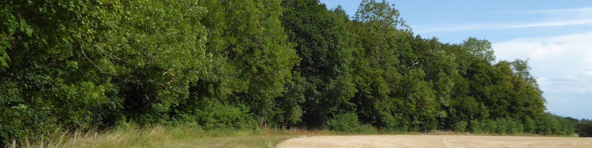 Gawdyhall Big Wood is a Site of Special Scientific Interest north of Harleston in Norfolk.