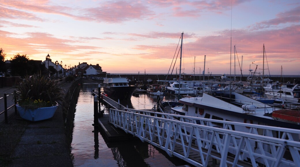 Watchet : The Harbour