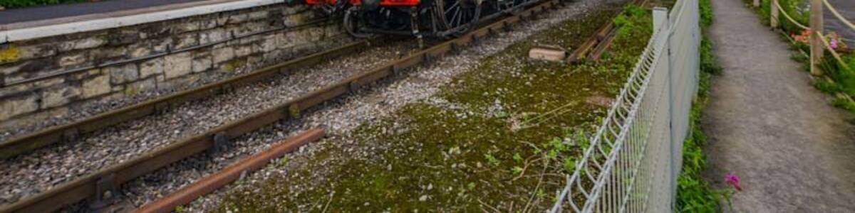Gala day on the West Somerset Railway and an early morning steam hauled goods train passes Watchet station.