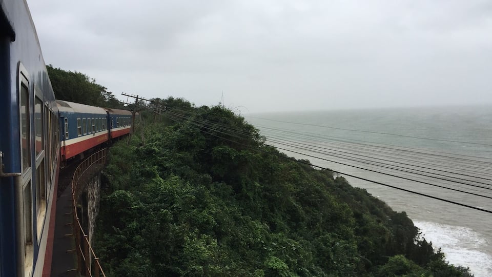 A train on a track alongside a coastal cliff with dense vegetation and power lines.