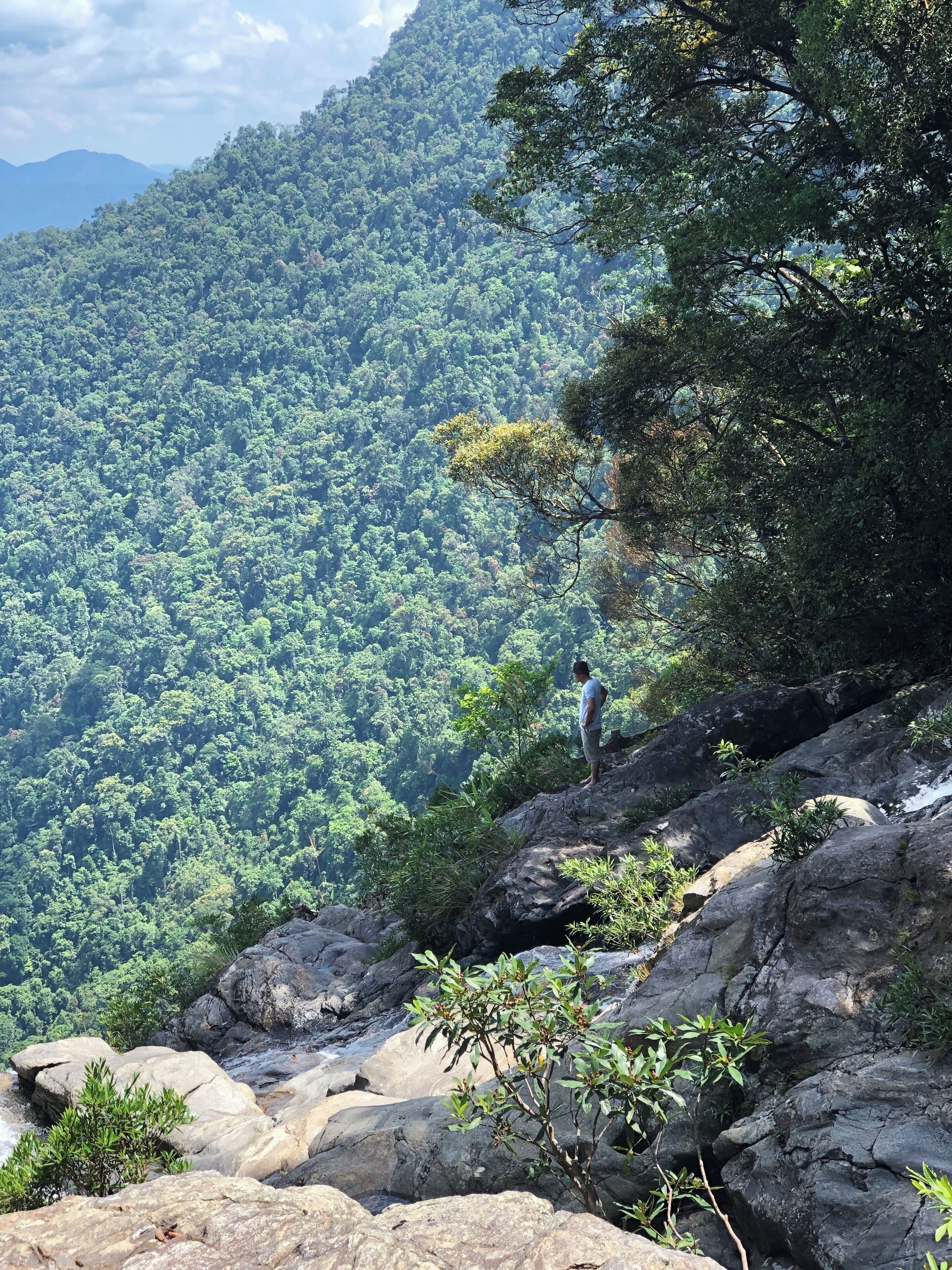 A person standing on a rocky outcrop overlooking a dense forested mountain.