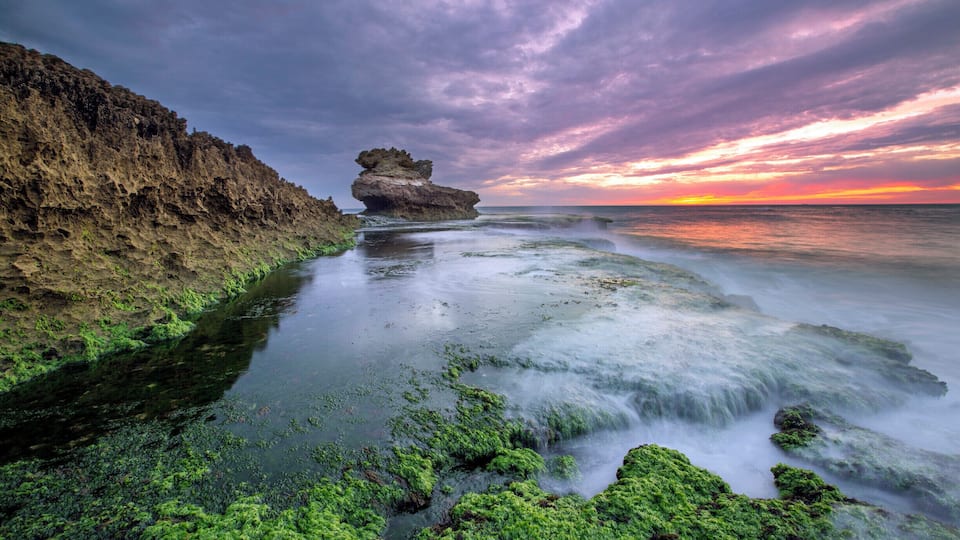 it is a beautiful location for a sunset but spring makes it special as at low tide we have a green field of sea weeds