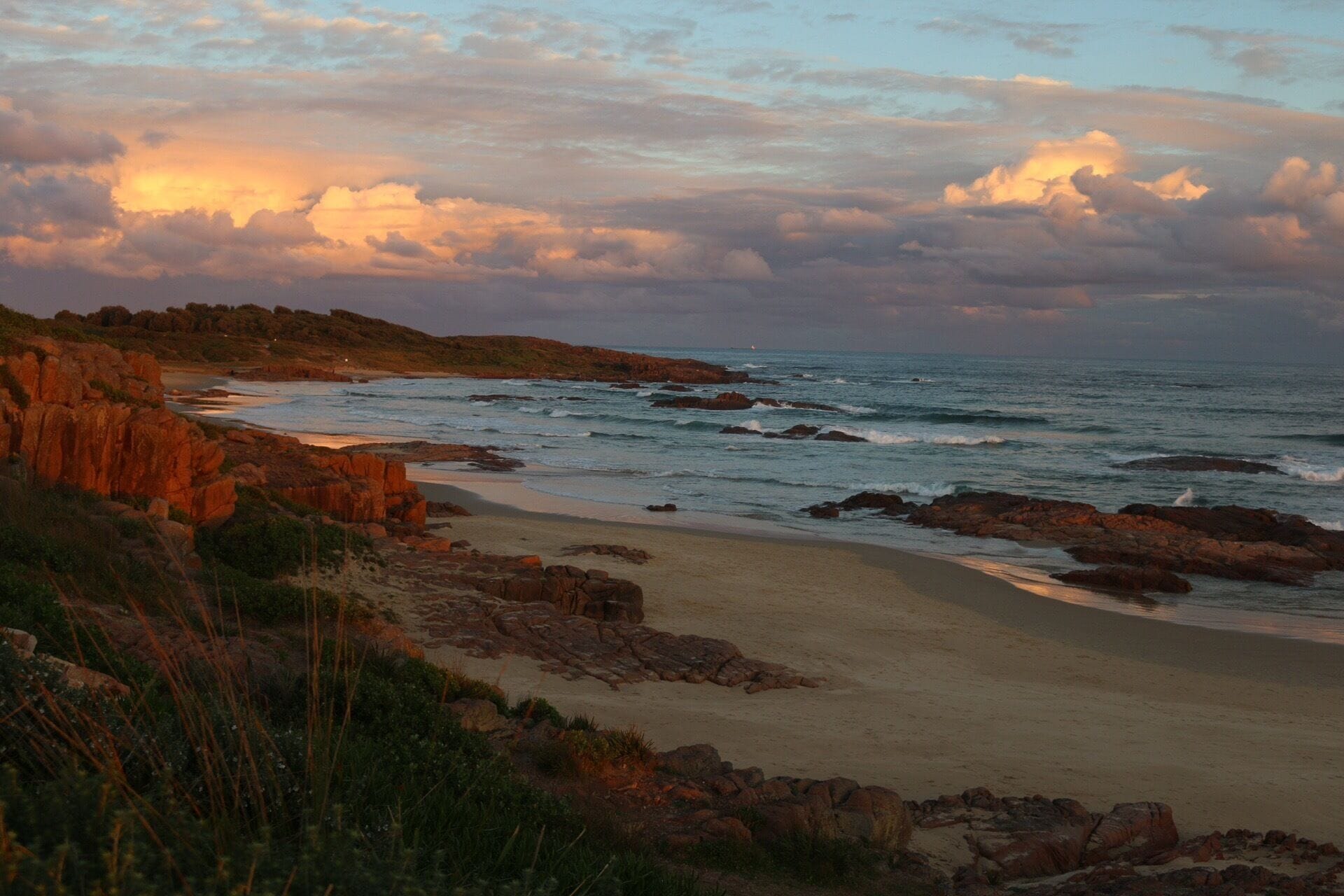 Watched humpback whales in June surf these waves