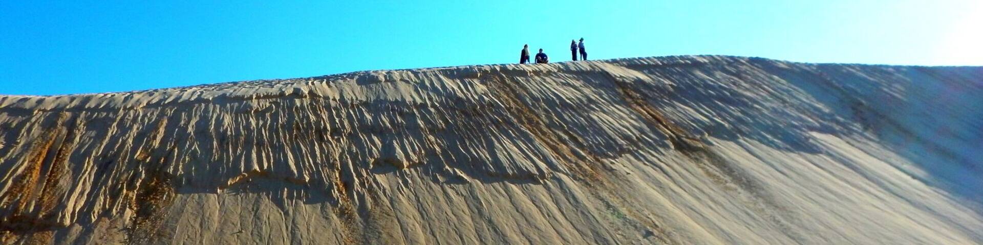 The coolest thing to do with the kids this spring. Go Sand boarding.
4WD Tours R Us located at Birubi Beach will show you and the family have a fantastic time. Take it from us, its a complete blast.