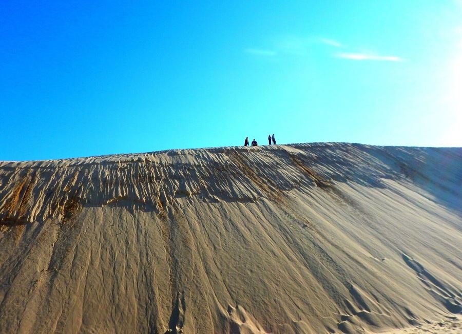 The coolest thing to do with the kids this spring. Go Sand boarding.
4WD Tours R Us located at Birubi Beach will show you and the family have a fantastic time. Take it from us, its a complete blast.