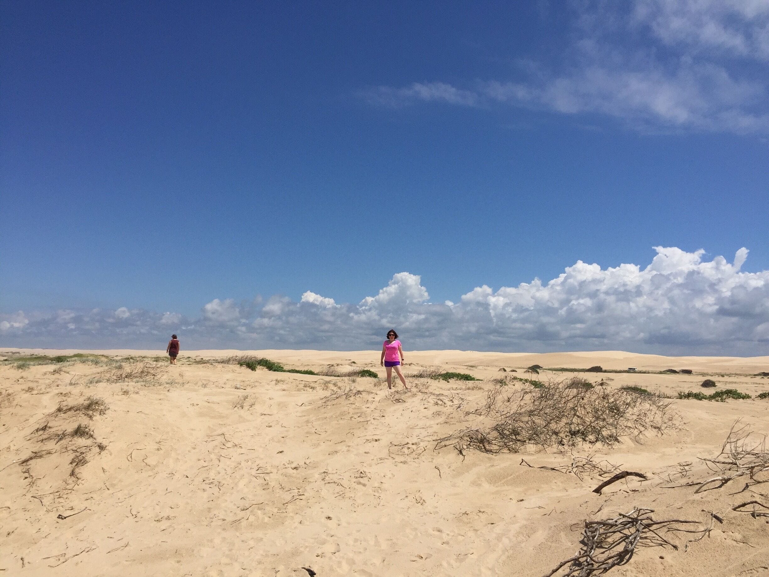 Sand dunes Birubi Beach #blue #endlesssummer #beachbound #beachtips