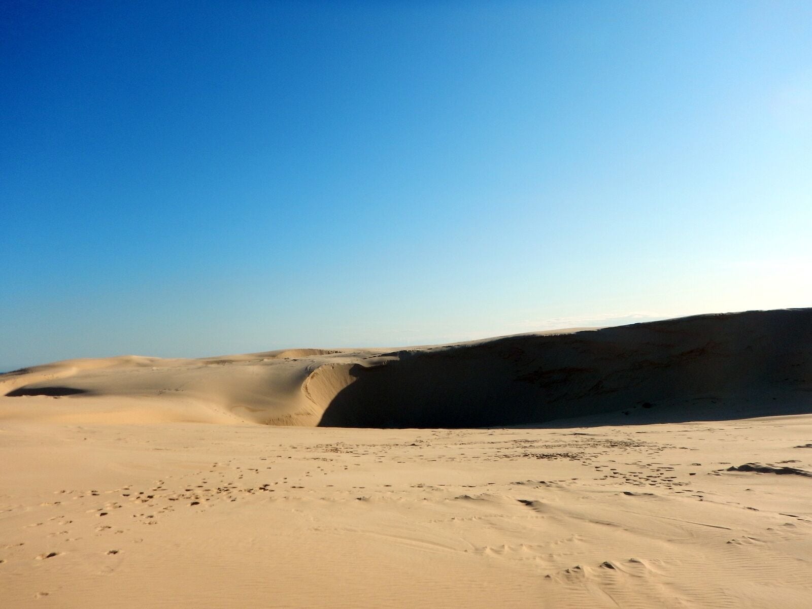 The coolest thing to do with the kids this spring.  Go Sandboarding. 

4WD Tours R Us located at Birubi Beach will show you and the family have a fantastic time.   Take it from us, its a complete blast. 