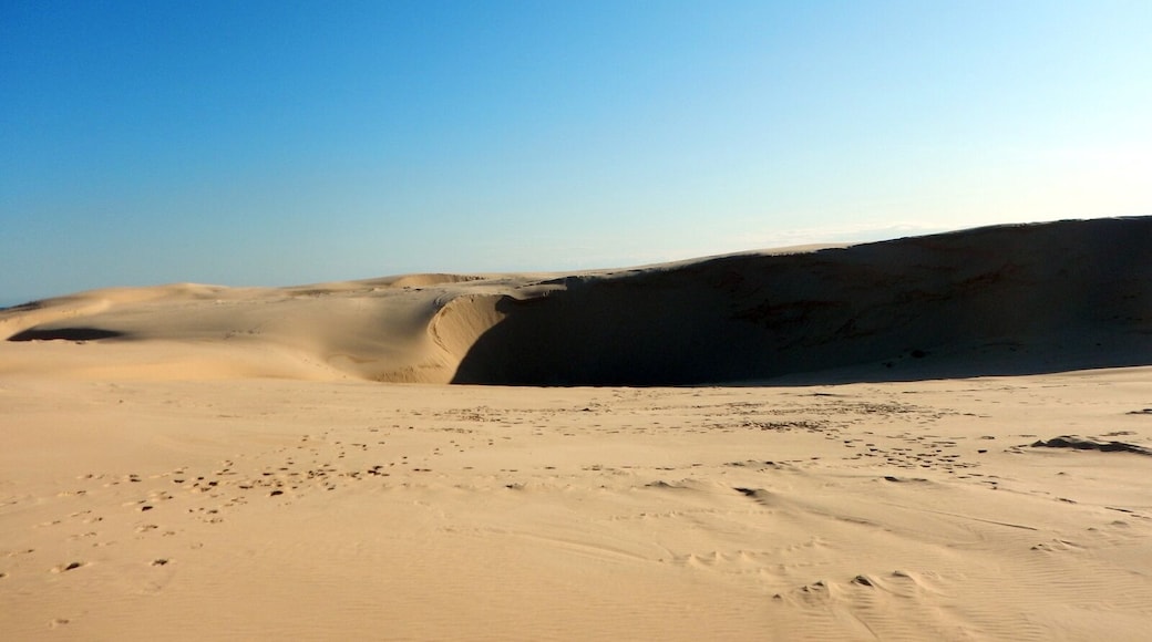 The coolest thing to do with the kids this spring. Go Sandboarding.
4WD Tours R Us located at Birubi Beach will show you and the family have a fantastic time. Take it from us, its a complete blast.