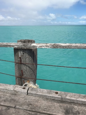 Yes the water is this blue, yet very cold.