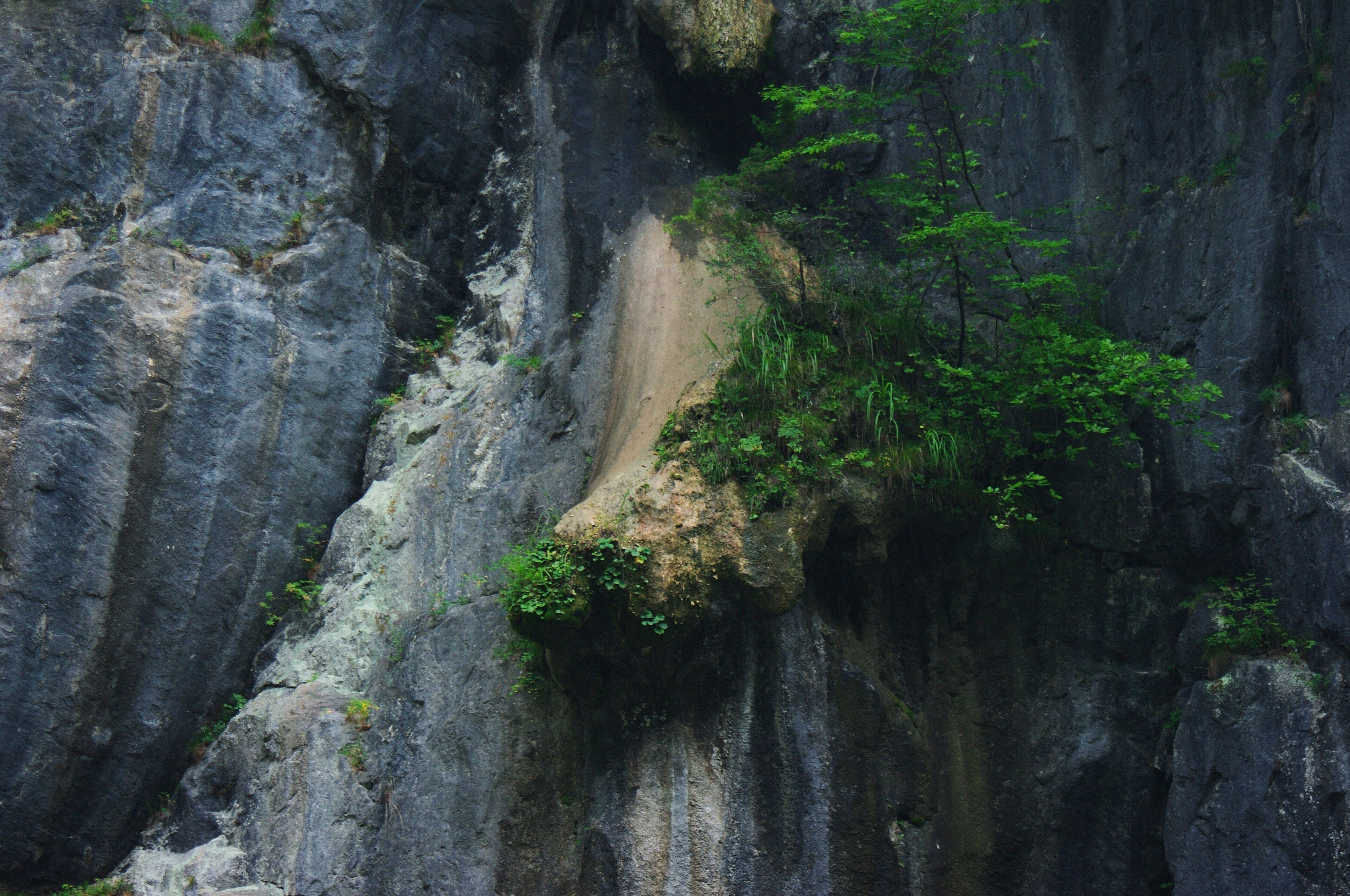 Shishigahana (獅子ヶ鼻)