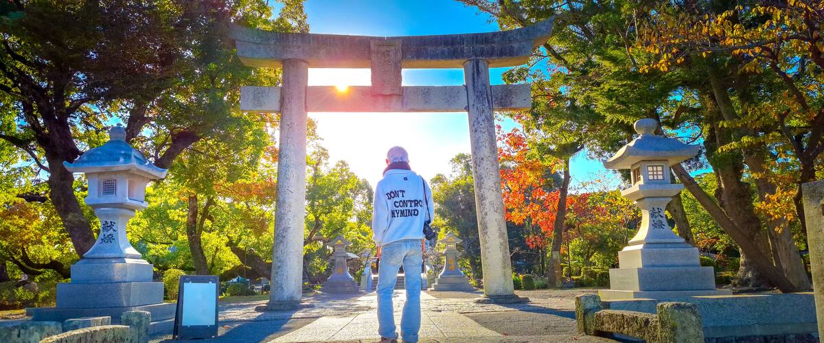 A person walking towards a torii gate in a park with stone lanterns and trees.