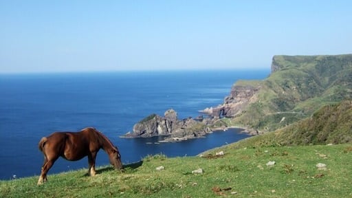 行きたーい!
#隠岐の島