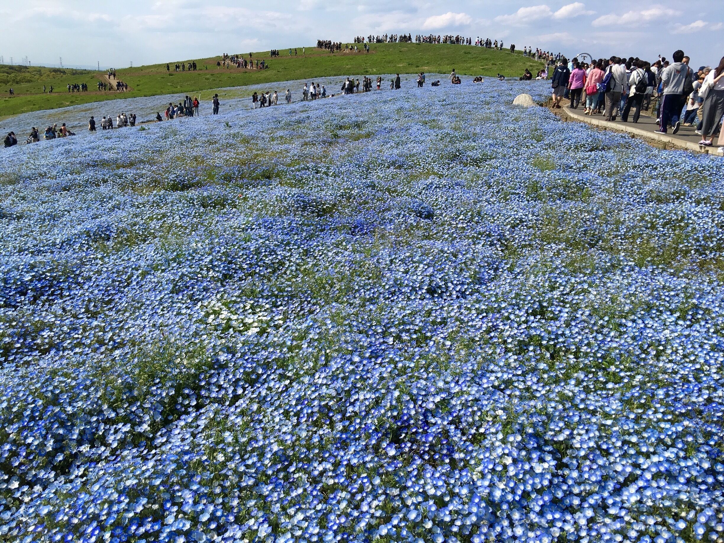 An awesome sight!

#bestof5