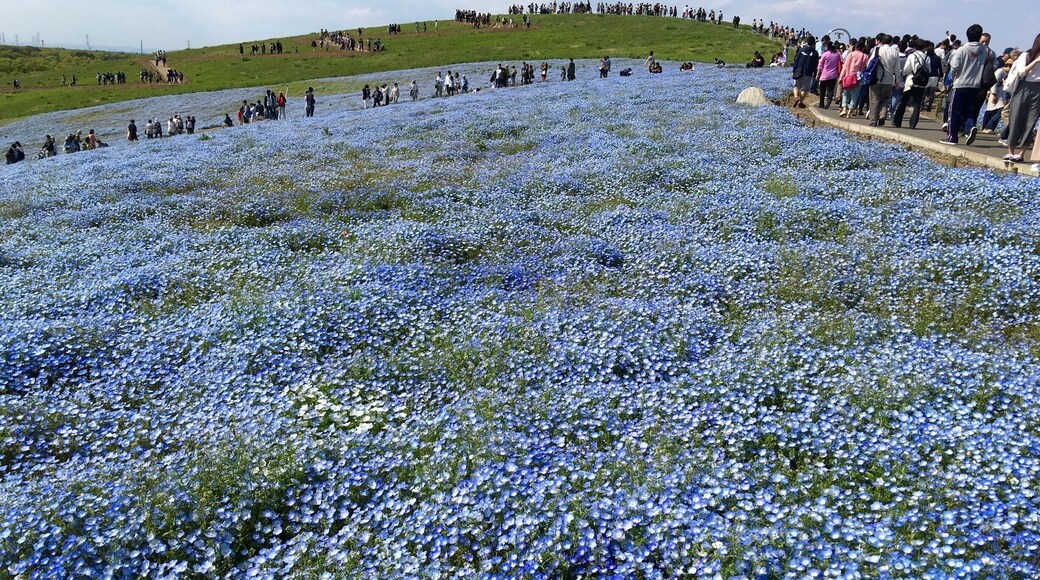 An awesome sight!
#bestof5