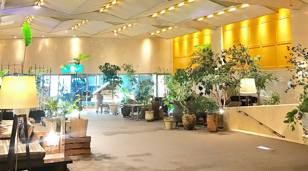 Nice comfortable hotel in Hitachinaka city. Near Hitachi Seaside Park and Mito. (Less than an hour from Ibaraki airport)