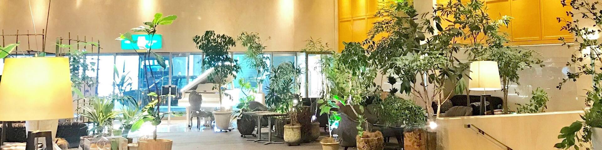 Nice comfortable hotel in Hitachinaka city. Near Hitachi Seaside Park and Mito. (Less than an hour from Ibaraki airport)