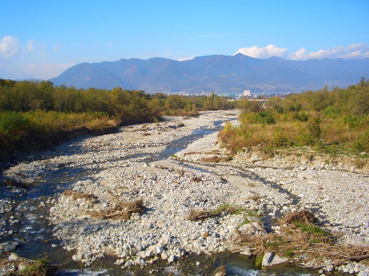 金川の森公園近くの橋の上から