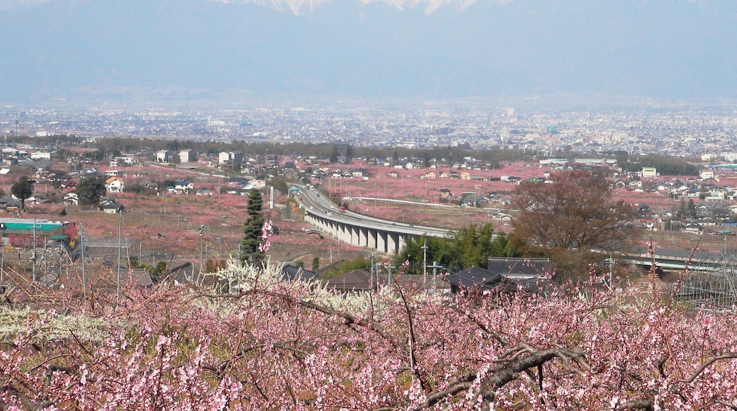 Kofu Basin Peach blossom and the Minami Alps
