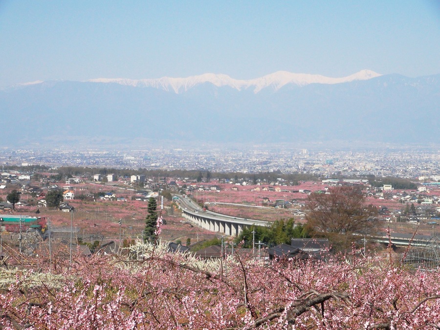 Kofu Basin Peach blossom and the Minami Alps