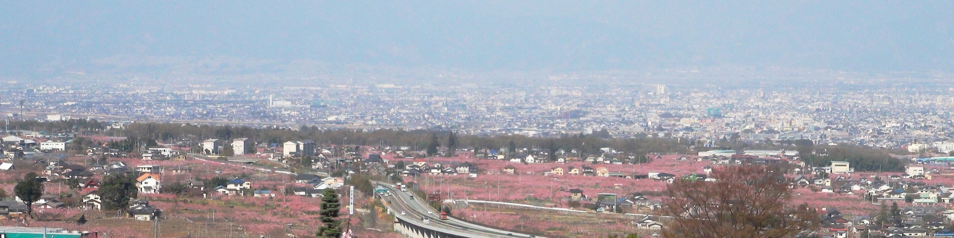 Kofu Basin Peach blossom and the Minami Alps