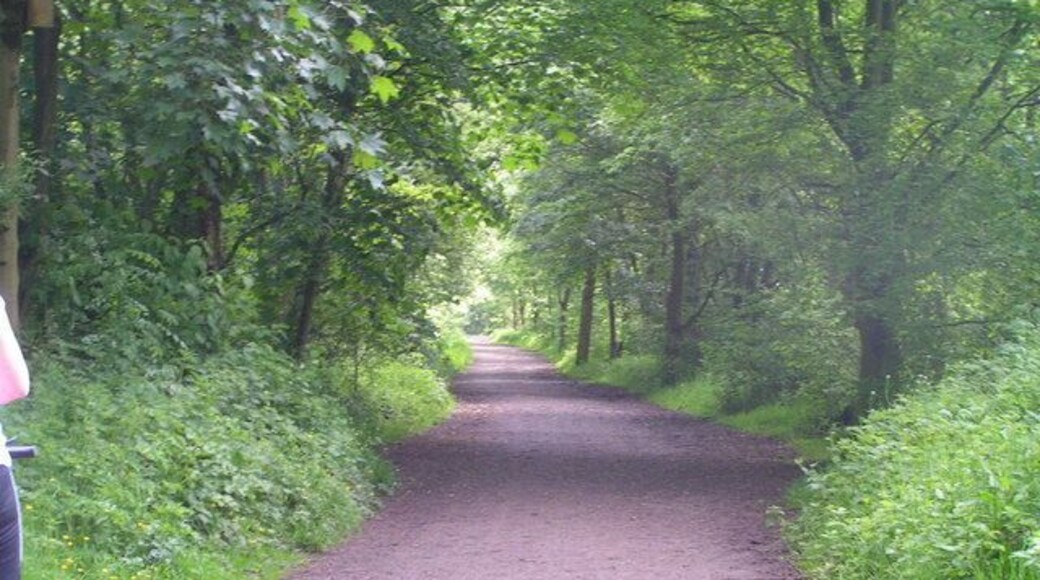 Sett Valley Trail