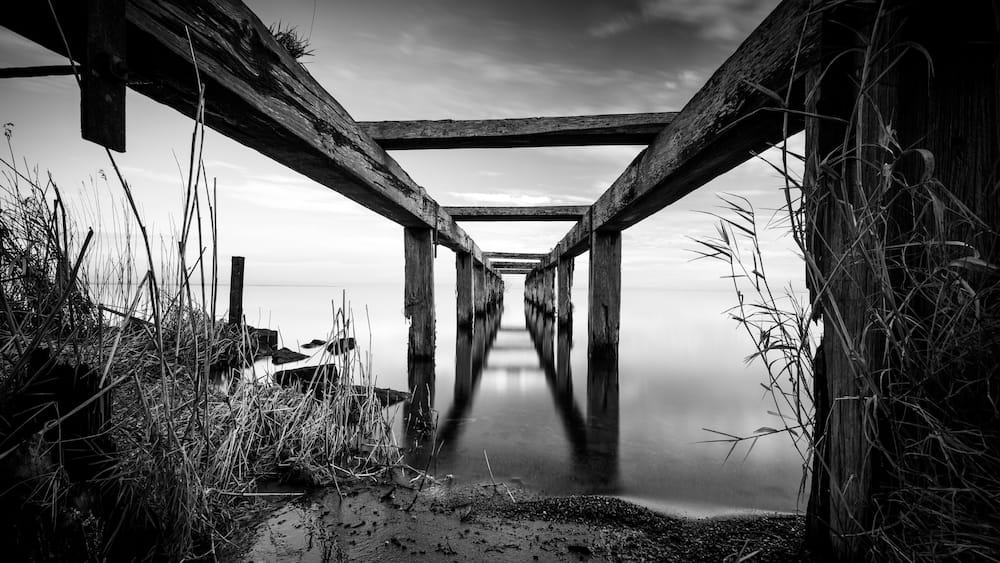 A wooden pier extending into calm water, surrounded by tall grasses and a cloudy sky.