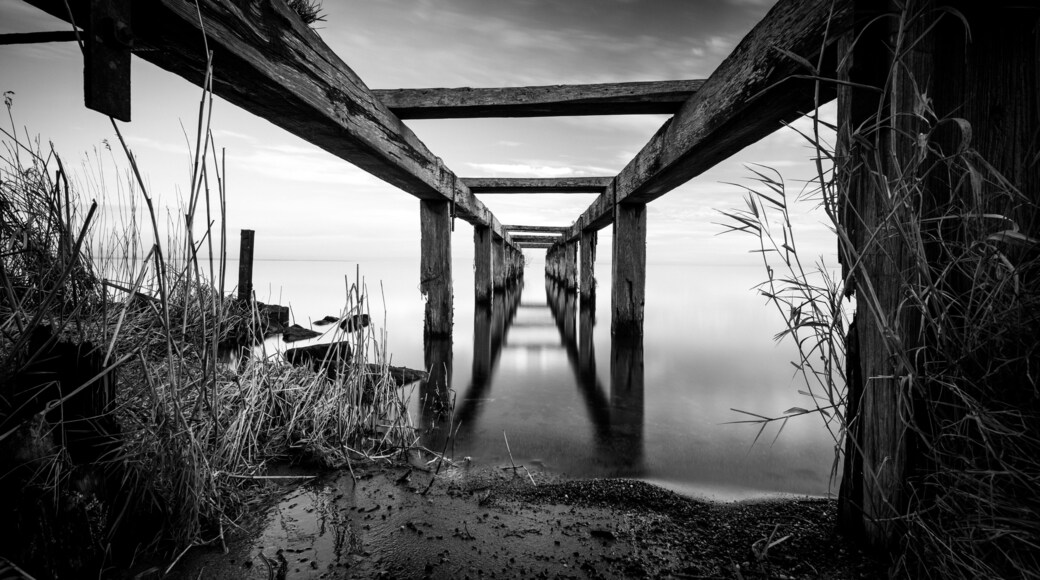 Un muelle de madera se adentra en aguas tranquilas, rodeado de altas hierbas y un cielo nublado.