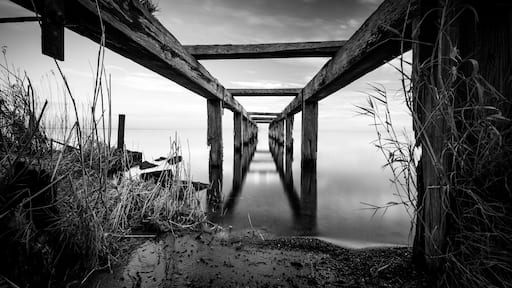 A wooden pier extending into calm water, surrounded by tall grasses and a cloudy sky.