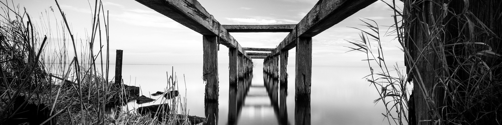 Un muelle de madera se adentra en aguas tranquilas, rodeado de altas hierbas y un cielo nublado.