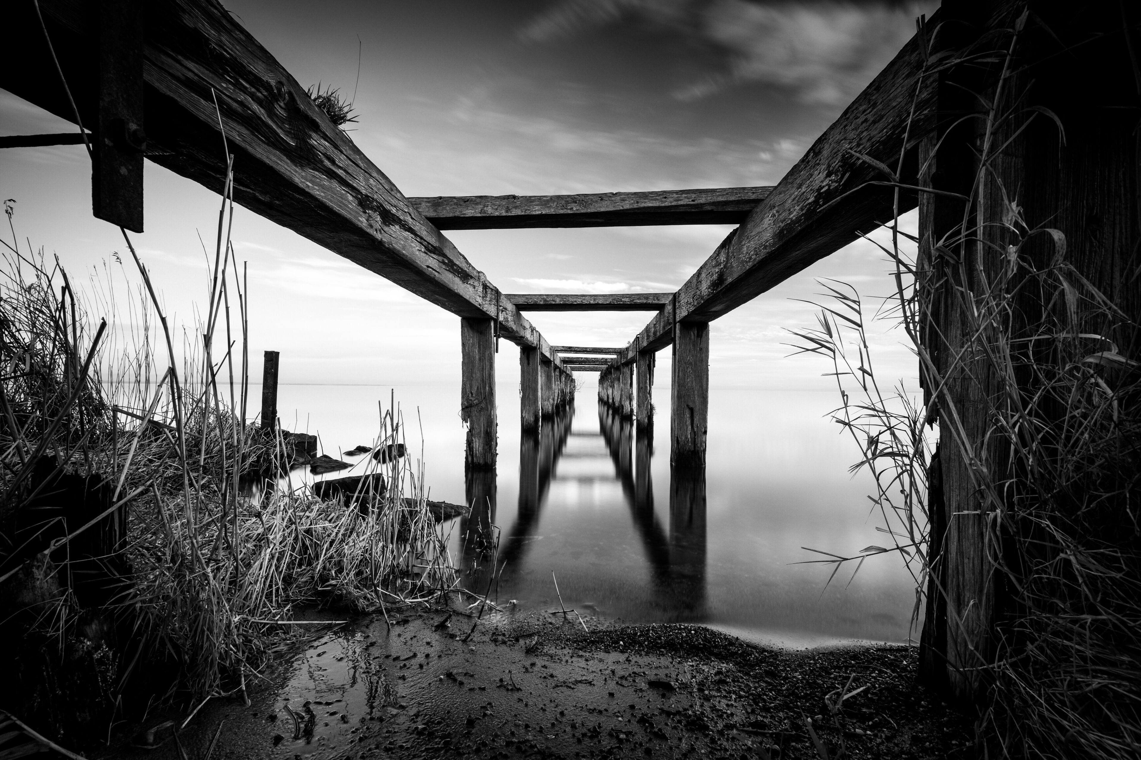 A wooden pier extending into calm water, surrounded by tall grasses and a cloudy sky.