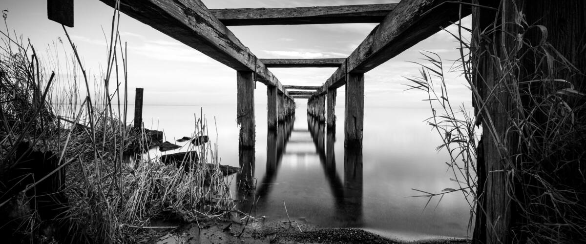 A wooden pier extending into calm water, surrounded by tall grasses and a cloudy sky.