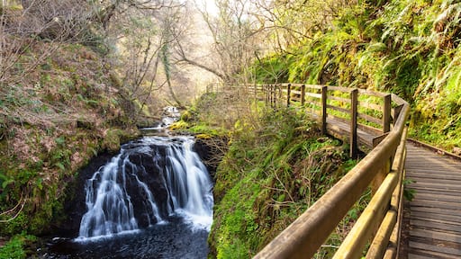 Glenarif Country Park