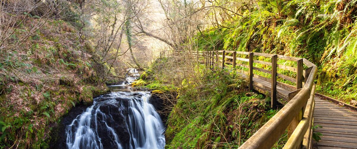 A wooden boardwalk beside a cascading waterfall surrounded by lush greenery.