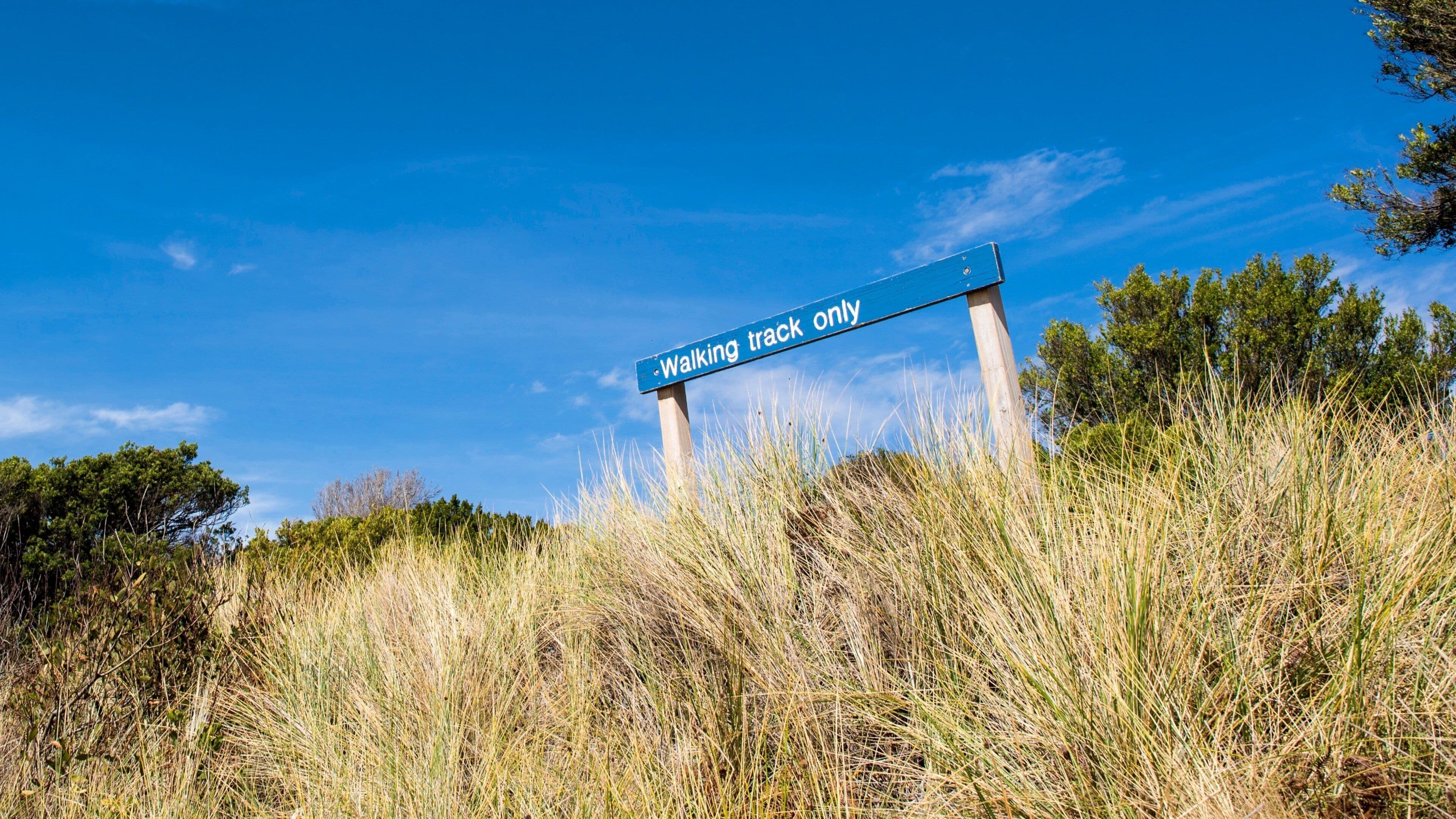 Bridport qui includes signalisation et scènes tranquilles