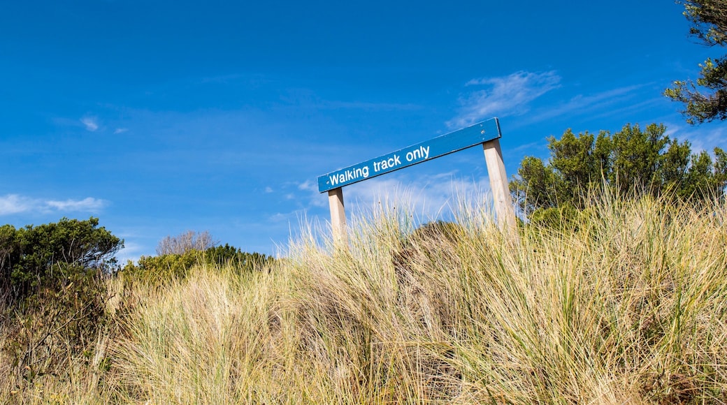 Bridport qui includes signalisation et scĂšnes tranquilles