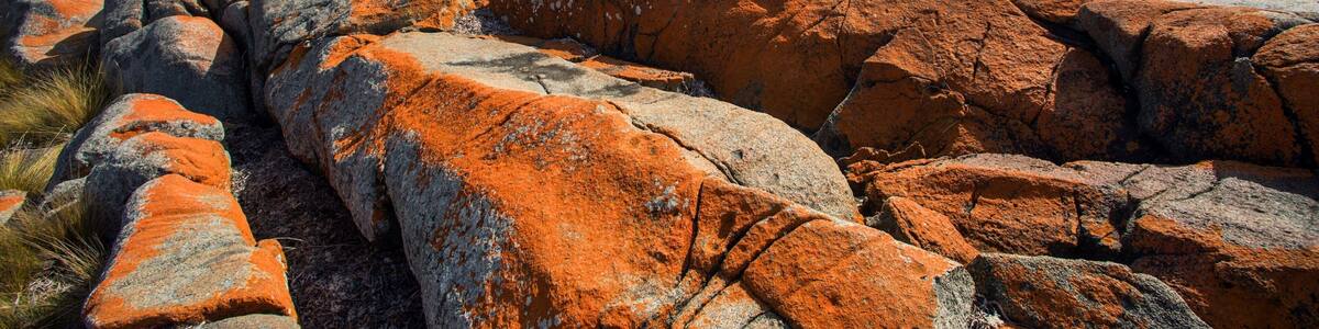 Bridport which includes rugged coastline