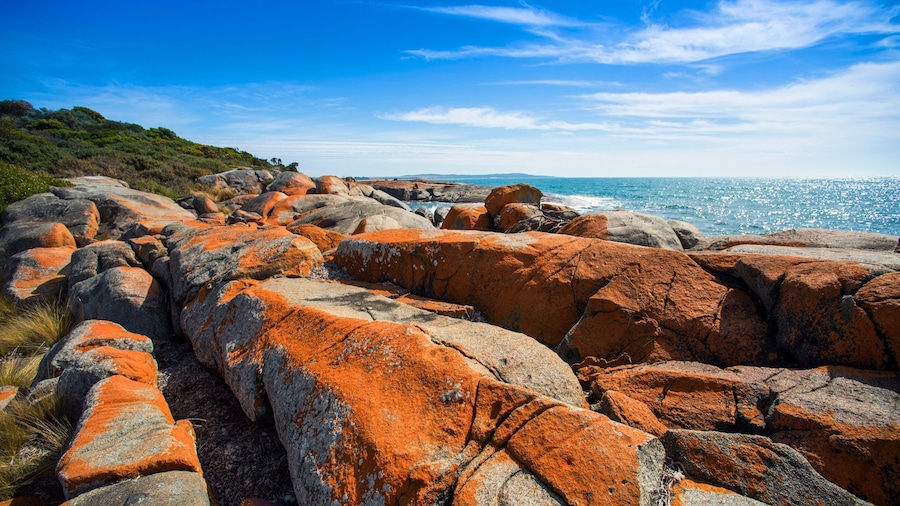 Bridport showing rugged coastline