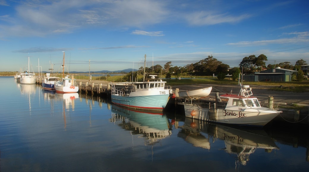 Bridport featuring general coastal views and boating
