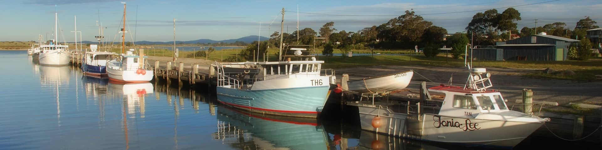 A calm harbor with several boats docked, a clear sky, and a distant landscape with trees and buildings.