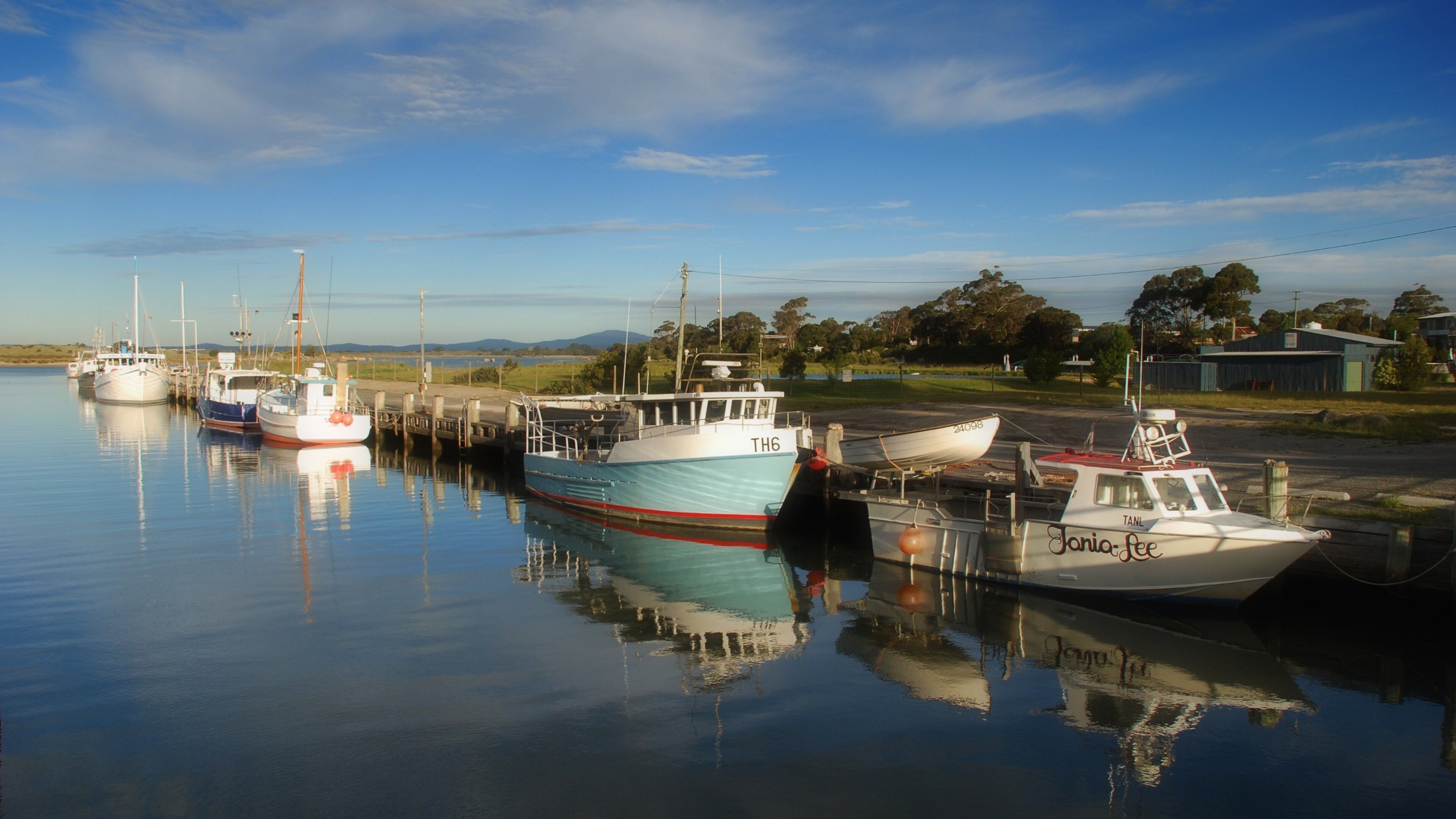 A calm harbor with several boats docked, a clear sky, and a distant landscape with trees and buildings.