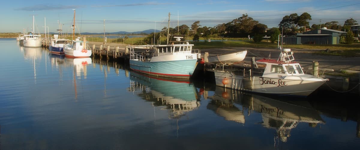 A calm harbor with several boats docked, a clear sky, and a distant landscape with trees and buildings.