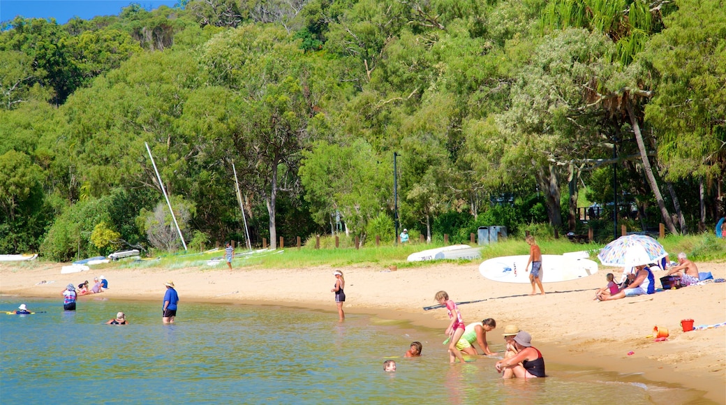 Seventeen Seventy bevat algemene kustgezichten, bossen en een zandstrand