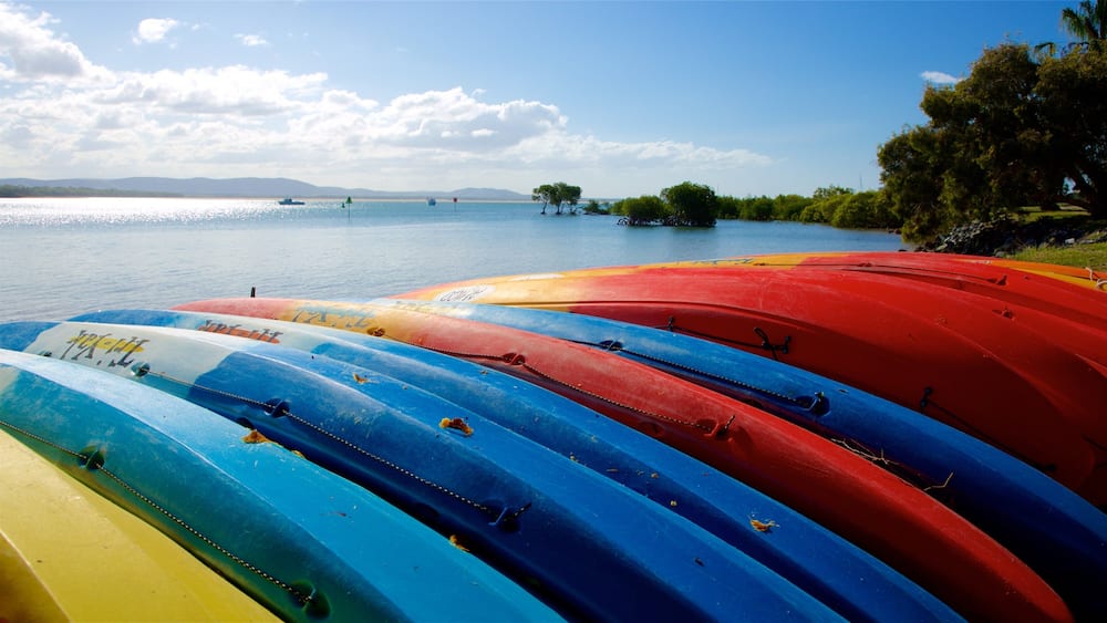 Una hilera de kayaks coloridos alineados junto a un lago tranquilo con cielo despejado.