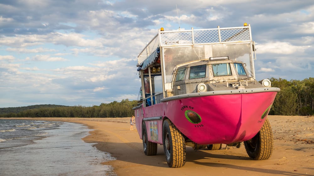 A pink truck parked on a sandy beach with a body of water and trees in the background.