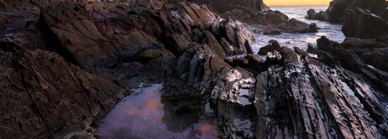 The 'Tree Tower', a hidden gem on the Bermagui coast.