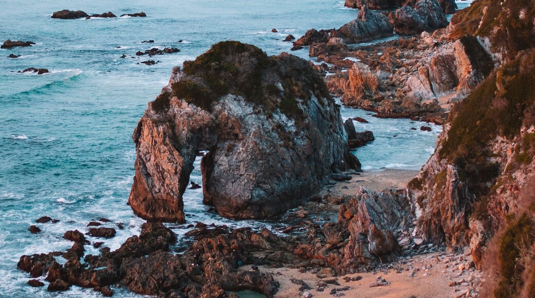 Horse head Rock, rock formation in Bermagui, NSW, Australia.