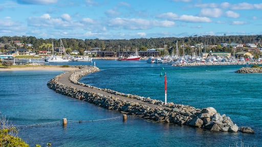 ๋ฒ๋ง๊ตฌ์ด